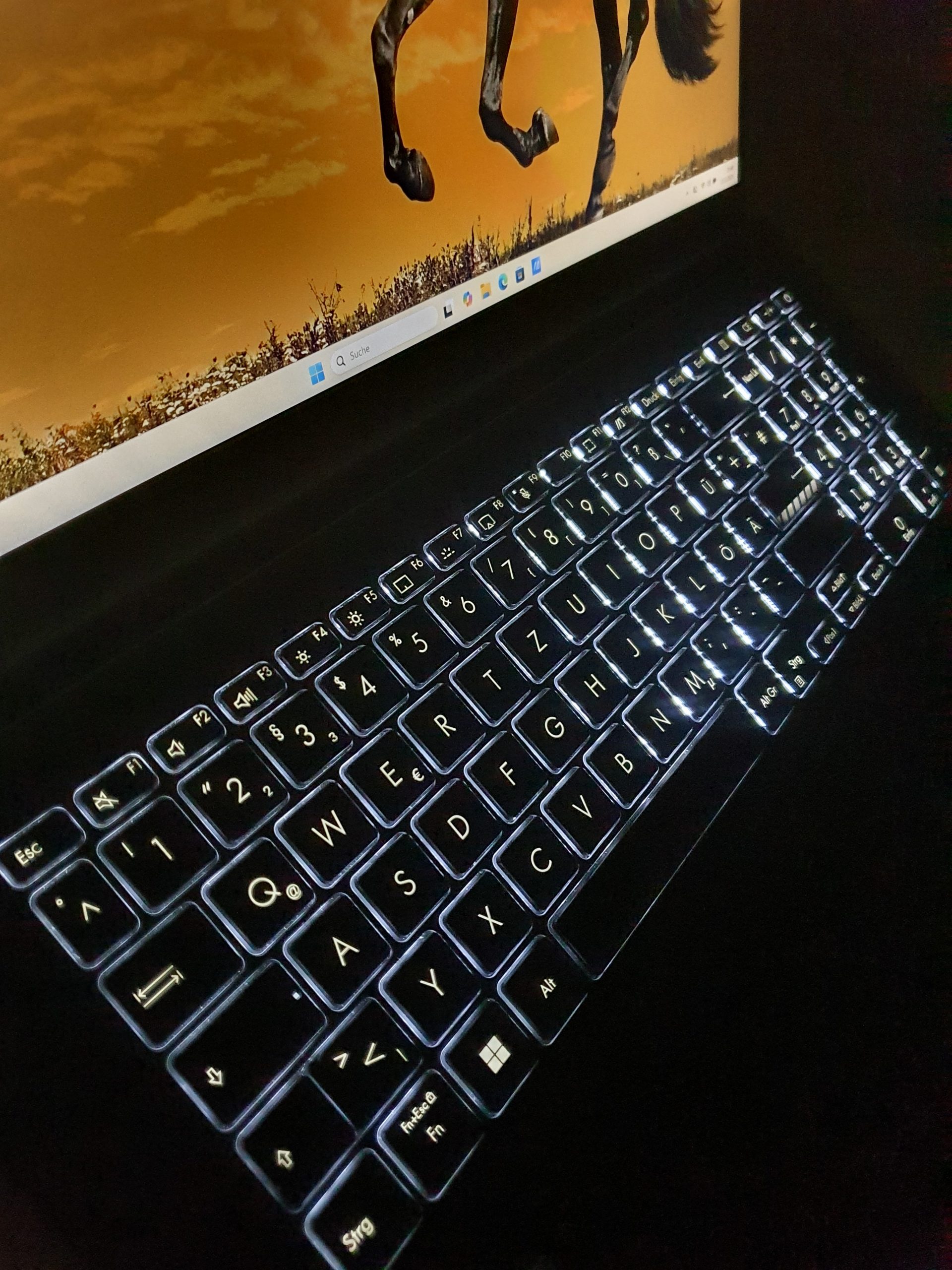 Asus VivoBook 17X i9-13900H 17 Zoll Full HD 1TB SSD 16GB RAM WIN 11 – Bild 5