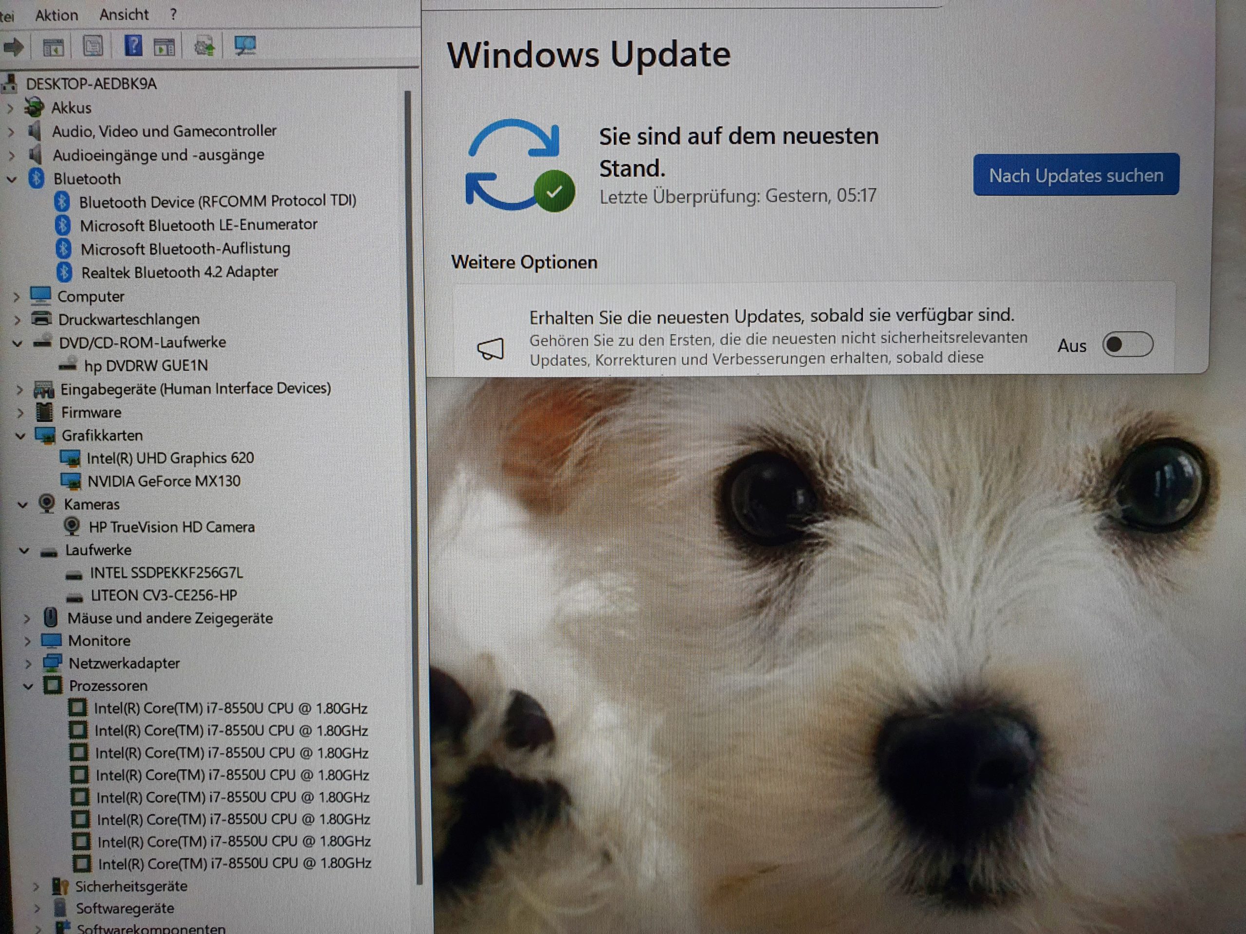 HP 15-da0316ng i7-8550U 15,6 Zoll Full HD 16GB RAM 2x 256GB SSD Win 11 – Bild 9