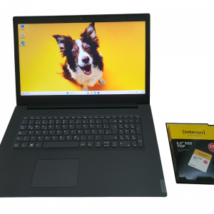 Lenovo IdeaPad V340 Laptop 17,3 Zoll i5-8265U 8GB RAM mit 2 Festplatten Win 11