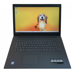 Lenovo V320 17,3 Zoll Full HD Laptop i5-8250U 8GB RAM 256GB SSD Win 11