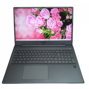 Medion Akoya S17402 17,3 Zoll Laptop Gold 5405U 512GB SSD Win 11 wie NEU