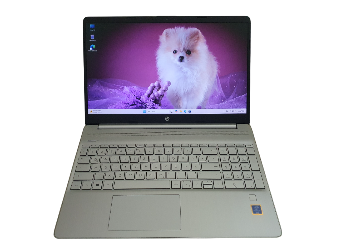 HP 15s-fq0210ng 15,6 Zoll Full HD Laptop Gold 5405U 8GB RAM 256GB SSD Win 11