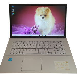 wie NEU Asus VivoBook 17 i3-1115G4 17,3 Zoll 8GB RAM 512GB SSD Win 11