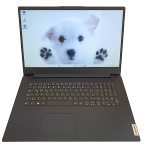Lenovo Ideapad 3 17,3 Zoll Laptop Gold 8505 512GB SSD 8GB RAM Win 11