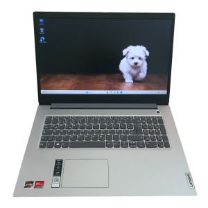 Lenovo IdeaPad 3 AMD Ryzen 3 17,3 Zoll Laptop 512GB SSD 8GB RAM Win 11