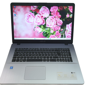 Asus VivoBook 17 F705M Intel Silver 17,3 Zoll 8GB RAM 120GB SSD Win 11