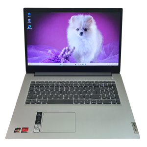 Lenovo IdeaPad 3 AMD Ryzen 3 17,3 Zoll Laptop 256GB SSD 8GB RAM Win 11